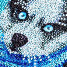 Laden Sie das Bild in den Galerie-Viewer, Set Diamond Painting 5D mit Design Husky und Bilderrahmen