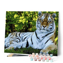 Laden Sie das Bild in den Galerie-Viewer, Malen nach Zahlen für Erwachsene | Die Erholung des Tigers | Figured'Art