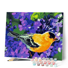 Laden Sie das Bild in den Galerie-Viewer, Malen nach Zahlen für Erwachsene | Oranger Vogel | Figured'Art