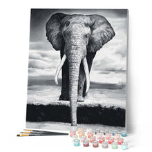 Laden Sie das Bild in den Galerie-Viewer, Malen nach Zahlen für Erwachsene | Grauer Elefant | Figured'Art