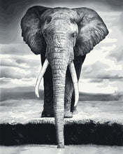 Laden Sie das Bild in den Galerie-Viewer, Malen nach Zahlen für Erwachsene | Grauer Elefant | Figured'Art