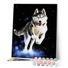 Laden Sie das Bild in den Galerie-Viewer, Malen nach Zahlen für Erwachsene | Husky | Figured'Art