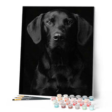 Laden Sie das Bild in den Galerie-Viewer, Malen nach Zahlen für Erwachsene | Portrait schwarzer Hund | Figured'Art