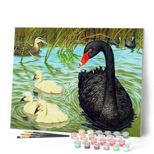 Laden Sie das Bild in den Galerie-Viewer, Malen nach Zahlen für Erwachsene | Schwarzer Schwan | Figured'Art