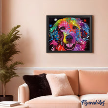 Laden Sie das Bild in den Galerie-Viewer, Malen nach Zahlen für Erwachsene | Farbiger Labrador | Figured'Art