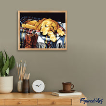 Laden Sie das Bild in den Galerie-Viewer, Malen nach Zahlen für Erwachsene | Fauler Hund | Figured'Art