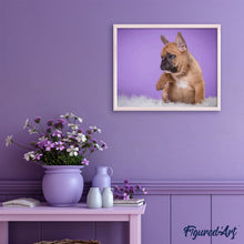 Laden Sie das Bild in den Galerie-Viewer, Malen nach Zahlen Erwachsene Kleiner Hund Figured'Art