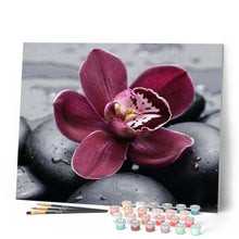 Laden Sie das Bild in den Galerie-Viewer, Malen nach Zahlen für Erwachsene | Orchidee und Stein | Figured'Art