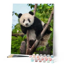 Laden Sie das Bild in den Galerie-Viewer, Malen nach Zahlen für Erwachsene | Sitzender Panda | Figured'Art
