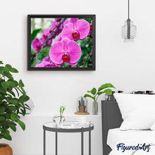 Laden Sie das Bild in den Galerie-Viewer, Malen nach Zahlen für Erwachsene | Rosarote Orchidee | Figured'Art