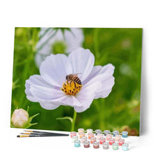 Laden Sie das Bild in den Galerie-Viewer, Malen nach Zahlen für Erwachsene | Biene auf der Blume | Figured'Art