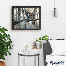 Laden Sie das Bild in den Galerie-Viewer, Malen nach Zahlen für Erwachsene | Schöne Eule im Wald | Figured'Art