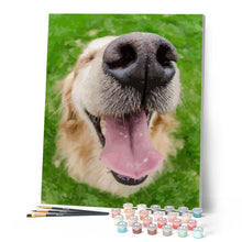 Laden Sie das Bild in den Galerie-Viewer, Malen nach Zahlen für Erwachsene | Hundeschnauze | Figured'Art