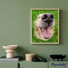 Laden Sie das Bild in den Galerie-Viewer, Malen nach Zahlen für Erwachsene | Hundeschnauze | Figured'Art