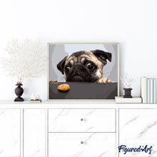 Laden Sie das Bild in den Galerie-Viewer, Malen nach Zahlen für Erwachsene | Hungriger Mops | Figured'Art