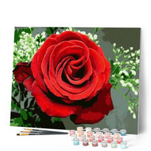 Laden Sie das Bild in den Galerie-Viewer, Malen nach Zahlen Erwachsene Rote Rose Figured'Art