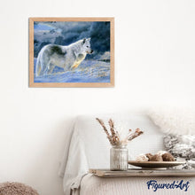 Laden Sie das Bild in den Galerie-Viewer, Malen nach Zahlen für Erwachsene | Einsamer Wolf im Schnee | Figured'Art