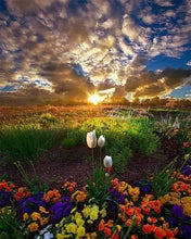 Laden Sie das Bild in den Galerie-Viewer, Diamond Painting, Blumenfeld und Sonnenuntergang