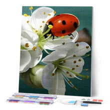 Laden Sie das Bild in den Galerie-Viewer, Diamond Painting | Diamond Painting - Ladybug and Flowers | animals Diamond Painting Animals flowers | FiguredArt