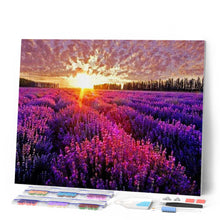 Laden Sie das Bild in den Galerie-Viewer, Diamond Painting – Lavendelfeld