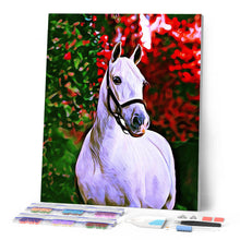 Laden Sie das Bild in den Galerie-Viewer, Diamond Painting – Weißes Pferd – 40 x 50 cm auf Keilrahmen gespannt | Figured'Art