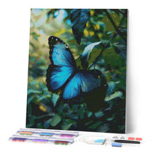 Laden Sie das Bild in den Galerie-Viewer, Diamond Painting - Blauer Morphofalter – 40 x 50 cm auf Keilrahmen gespannt