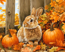 Laden Sie das Bild in den Galerie-Viewer, Diamond Painting - Hase und Kürbisse