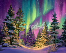 Laden Sie das Bild in den Galerie-Viewer, Diamond Painting - Aurora Polarwald