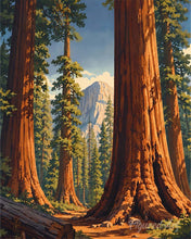 Laden Sie das Bild in den Galerie-Viewer, Diamond Painting - Yosemite-Nationalpark, Mariposa Grove - Kalifornien