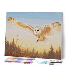 Laden Sie das Bild in den Galerie-Viewer, Diamond Painting - Flug der Schleiereule bei Sonnenuntergang