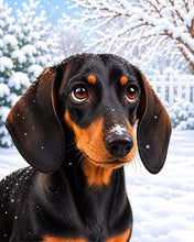 Laden Sie das Bild in den Galerie-Viewer, Diamond Painting - Winterliches Dackelporträt