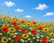 Laden Sie das Bild in den Galerie-Viewer, Diamond Painting - Wildblumenwiese