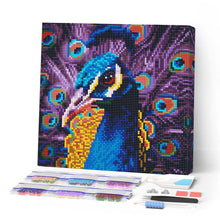 Laden Sie das Bild in den Galerie-Viewer, Mini Diamond Painting 25 x 25 cm - Anmutiger Pfau