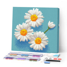 Laden Sie das Bild in den Galerie-Viewer, Mini Diamond Painting 25 x 25 cm - Bezaubernde Weiße Gänseblümchen