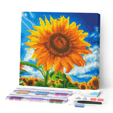 Laden Sie das Bild in den Galerie-Viewer, Mini Diamond Painting 25 x 25 cm - Sonnegeküsste Sonnenblume