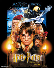 Laden Sie das Bild in den Galerie-Viewer, Diamond Painting - Harry Potter und der Stein der Weisen – 40 x 50 cm auf Keilrahmen gespannt