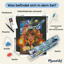 Laden Sie das Bild in den Galerie-Viewer, Diamond Painting - Harry Potter und der Stein der Weisen