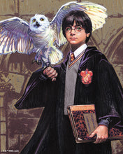 Laden Sie das Bild in den Galerie-Viewer, Diamond Painting - Harry Potter und Hedwig – 40 x 50 cm auf Keilrahmen gespannt