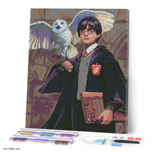 Laden Sie das Bild in den Galerie-Viewer, Diamond Painting - Harry Potter und Hedwig