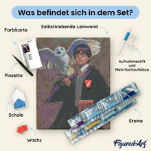 Laden Sie das Bild in den Galerie-Viewer, Diamond Painting - Harry Potter und Hedwig – 40 x 50 cm auf Keilrahmen gespannt