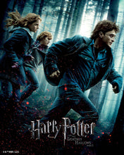 Laden Sie das Bild in den Galerie-Viewer, Diamond Painting - Harry Potter und die Heiligtümer des Todes - Teil 1 Plakat – 40 x 50 cm auf Keilrahmen gespannt