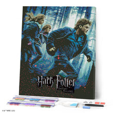 Laden Sie das Bild in den Galerie-Viewer, Diamond Painting - Harry Potter und die Heiligtümer des Todes - Teil 1 Plakat – 40 x 50 cm auf Keilrahmen gespannt