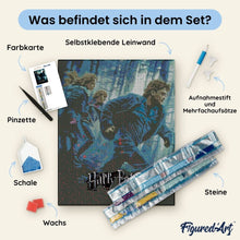 Laden Sie das Bild in den Galerie-Viewer, Diamond Painting - Harry Potter und die Heiligtümer des Todes - Teil 1 Plakat – 40 x 50 cm auf Keilrahmen gespannt