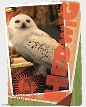 Laden Sie das Bild in den Galerie-Viewer, Diamond Painting - Hedwig-Karte - Harry Potter – 40 x 50 cm auf Keilrahmen gespannt