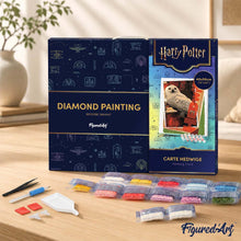 Laden Sie das Bild in den Galerie-Viewer, Diamond Painting - Hedwig-Karte - Harry Potter – 40 x 50 cm auf Keilrahmen gespannt