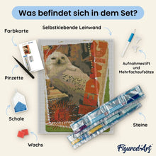 Laden Sie das Bild in den Galerie-Viewer, Diamond Painting - Hedwig-Karte - Harry Potter – 40 x 50 cm auf Keilrahmen gespannt