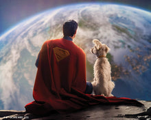 Laden Sie das Bild in den Galerie-Viewer, Diamond Painting - Superman und Krypto – 40 x 50 cm auf Keilrahmen gespannt