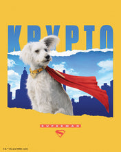 Laden Sie das Bild in den Galerie-Viewer, Diamond Painting - Krypto mit Skyline - Superman – 40 x 50 cm auf Keilrahmen gespannt