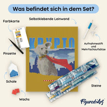 Laden Sie das Bild in den Galerie-Viewer, Diamond Painting - Krypto mit Skyline - Superman – 40 x 50 cm auf Keilrahmen gespannt