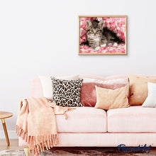 Laden Sie das Bild in den Galerie-Viewer, Malen nach Zahlen – Katze unter Decke